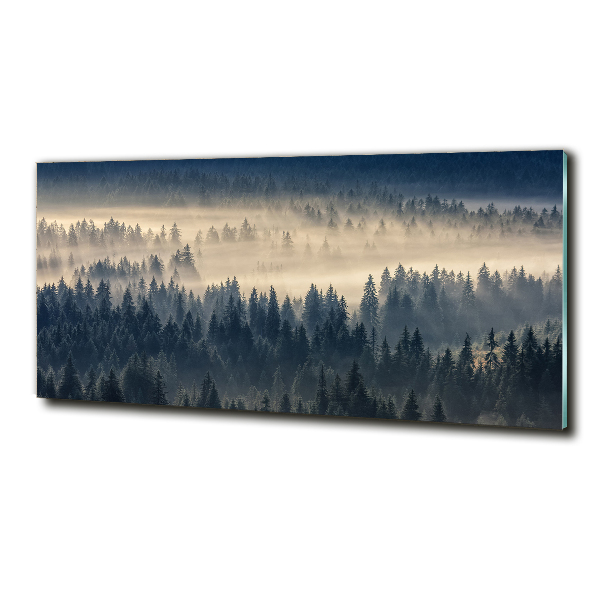 Glass art print Fog over the forest