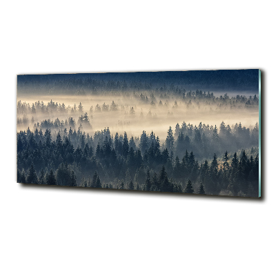 Glass art print Fog over the forest