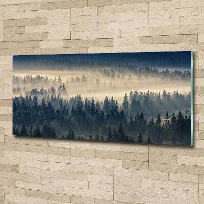 Glass art print Fog over the forest