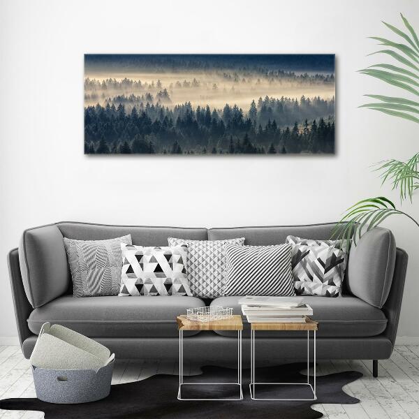 Glass art print Fog over the forest