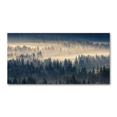 Glass art print Fog over the forest