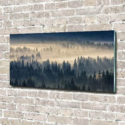 Glass art print Fog over the forest