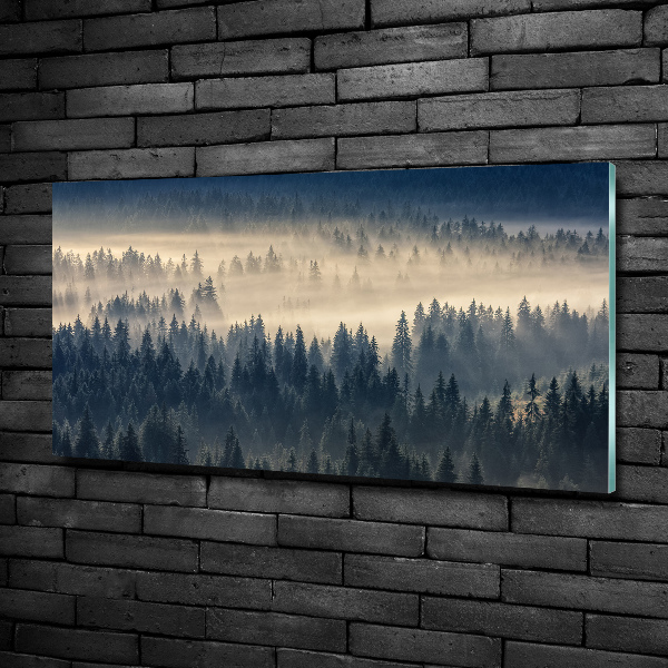 Glass art print Fog over the forest