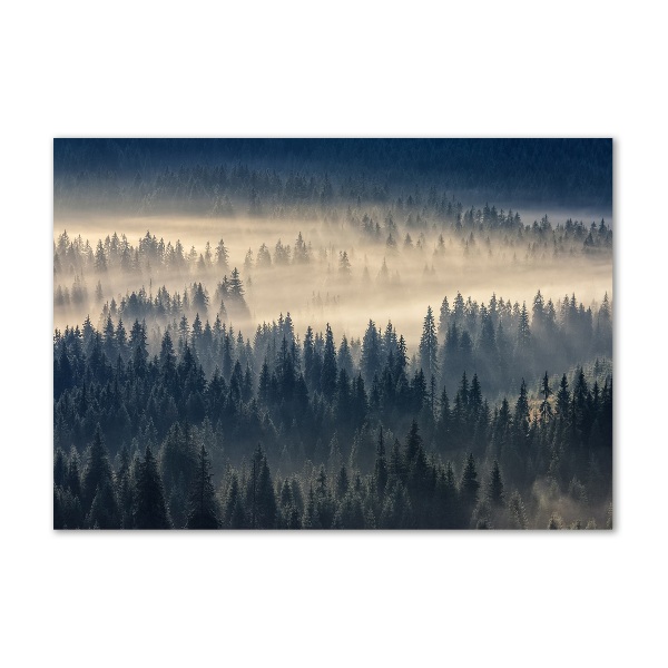 Glass art print Fog over the forest