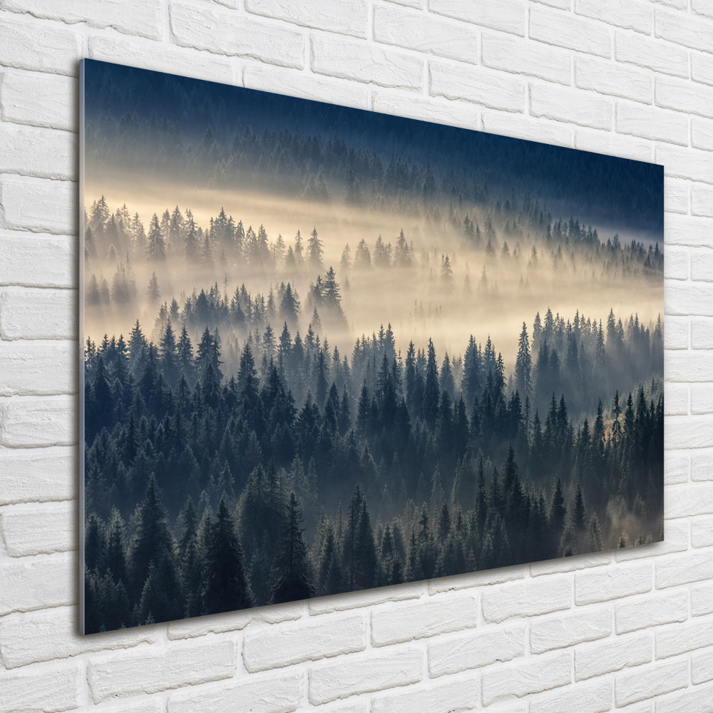 Glass art print Fog over the forest