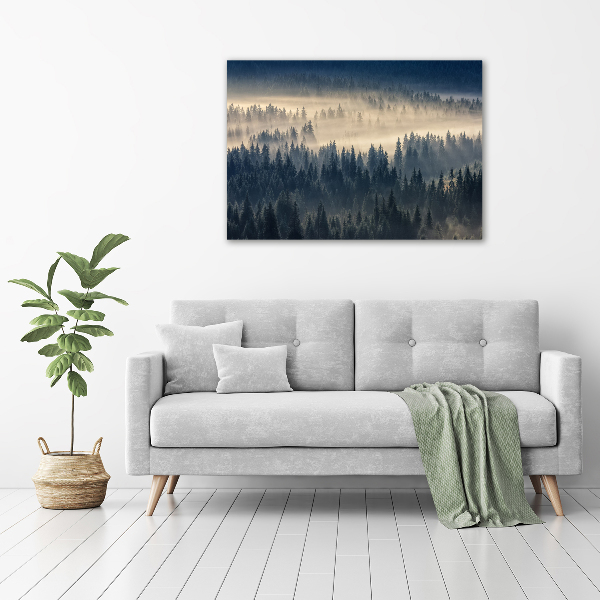 Glass art print Fog over the forest