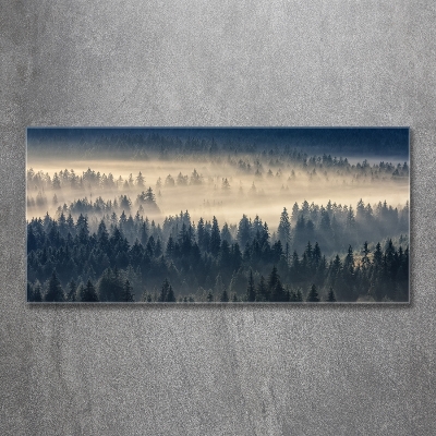 Glass art print Fog over the forest