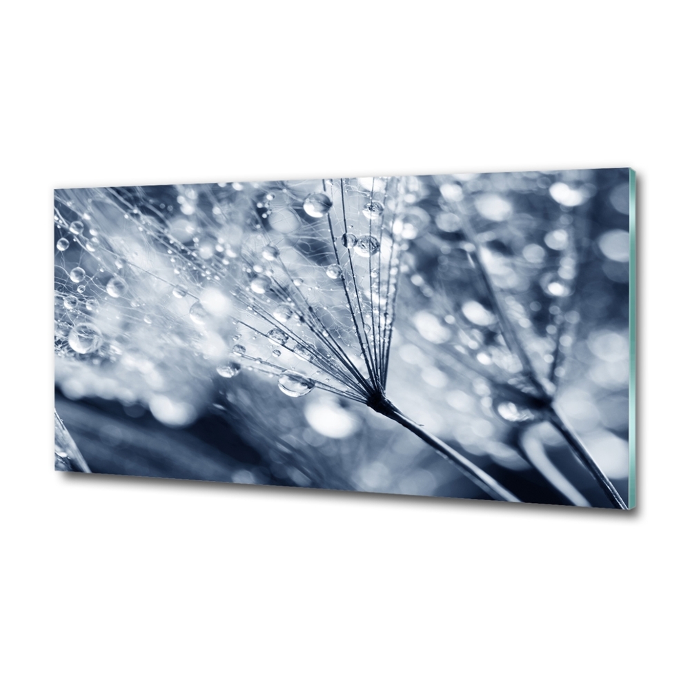 Glass wall art Dandelion seeds