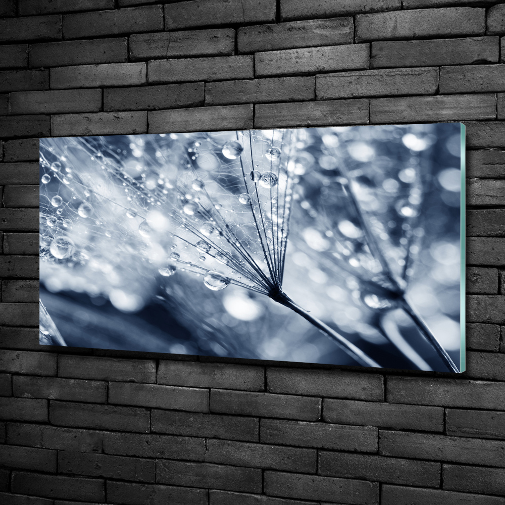 Glass wall art Dandelion seeds