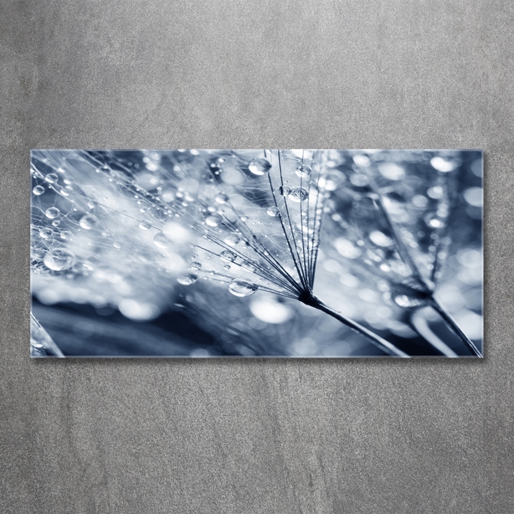 Glass wall art Dandelion seeds