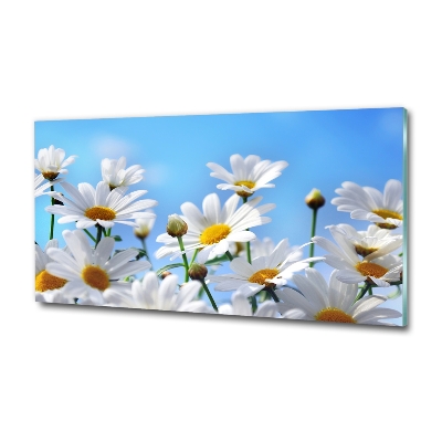 Wall art on glass Daisy