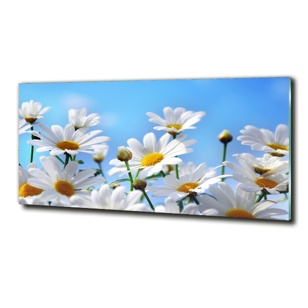 Wall art on glass Daisy