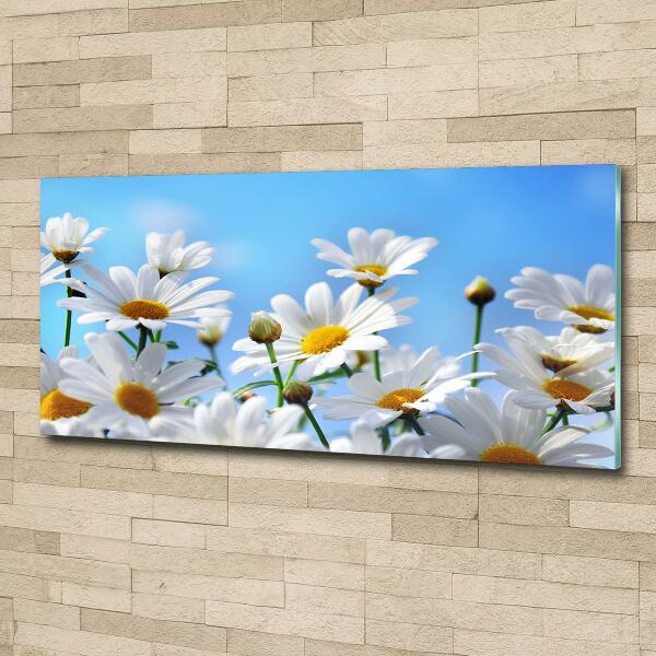 Wall art on glass Daisy