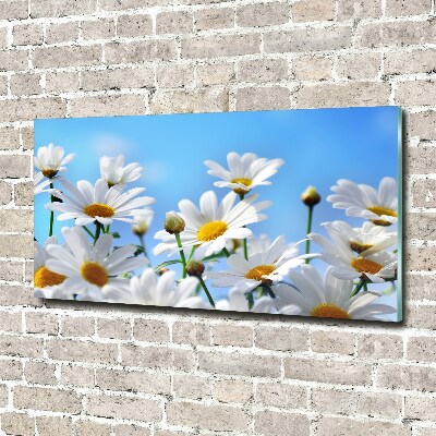 Wall art on glass Daisy