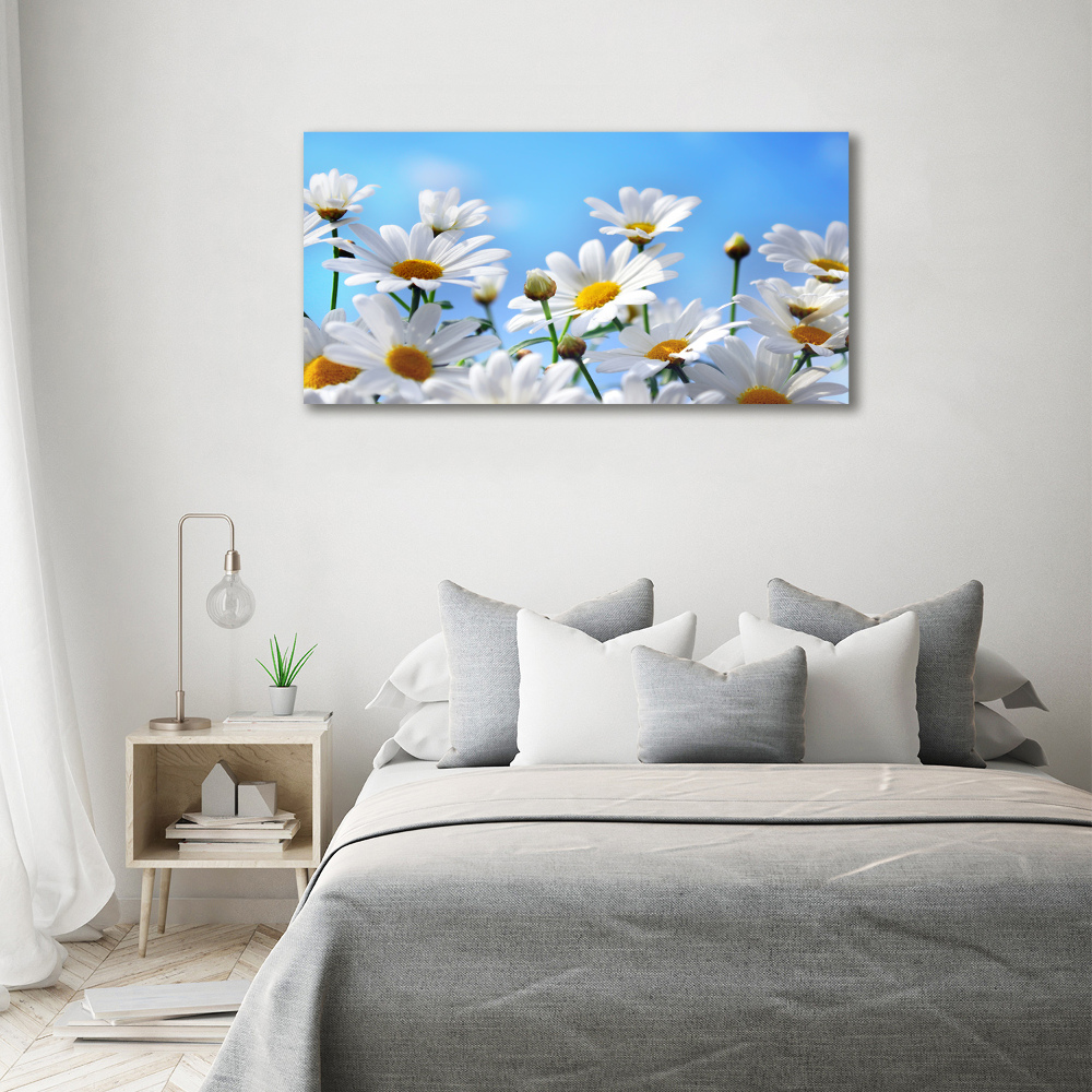 Wall art on glass Daisy