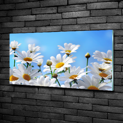 Wall art on glass Daisy