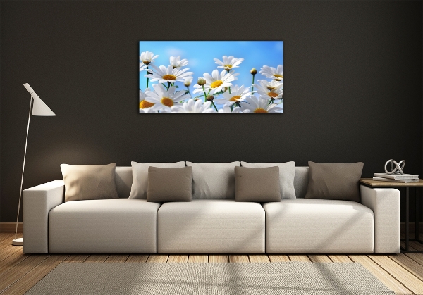 Wall art on glass Daisy