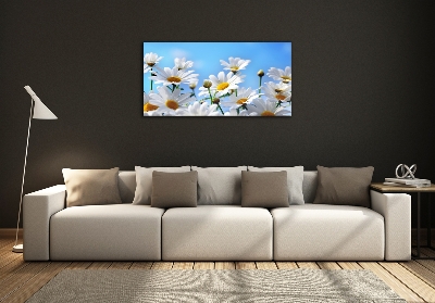 Wall art on glass Daisy