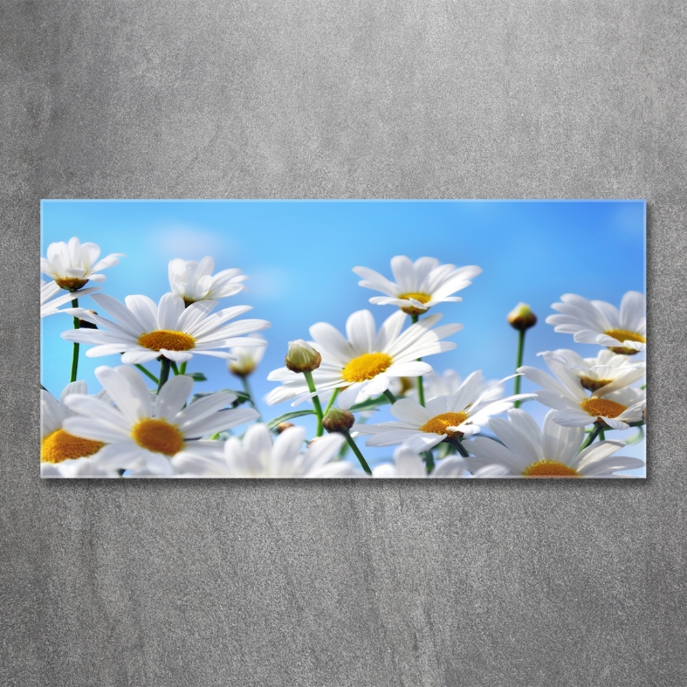 Wall art on glass Daisy