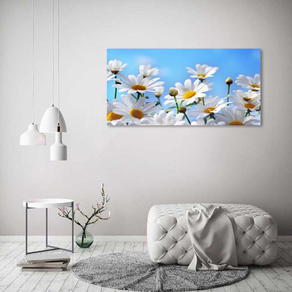 Wall art on glass Daisy