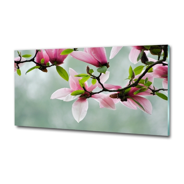 Wall art on glass Magnolia