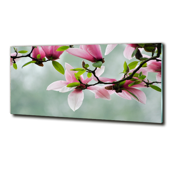 Wall art on glass Magnolia