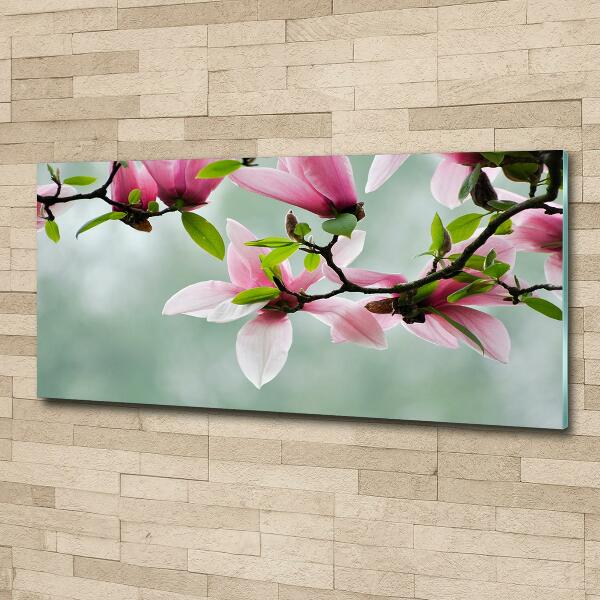 Wall art on glass Magnolia