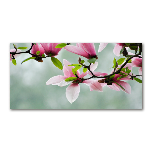 Wall art on glass Magnolia