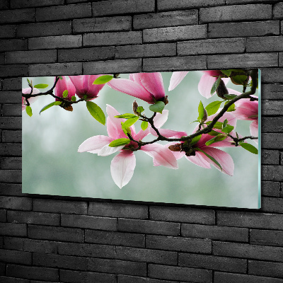 Wall art on glass Magnolia