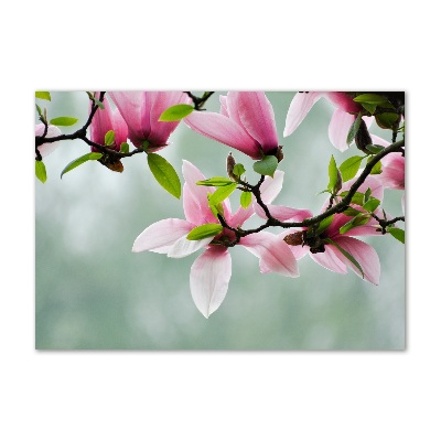 Wall art on glass Magnolia