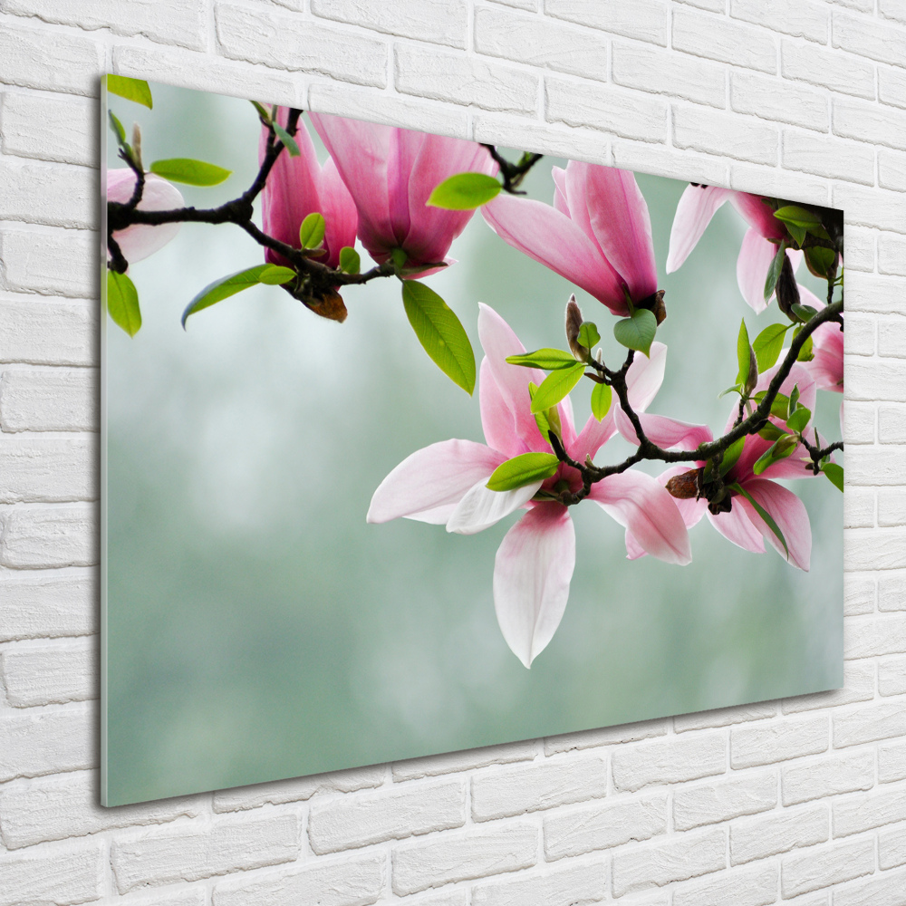 Wall art on glass Magnolia