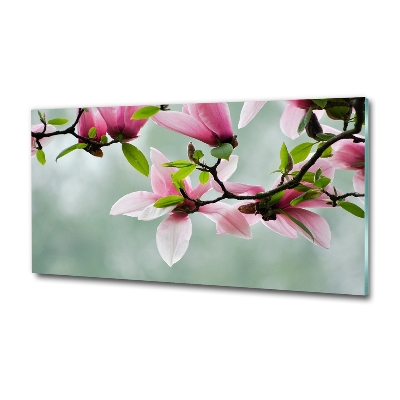 Wall art on glass Magnolia