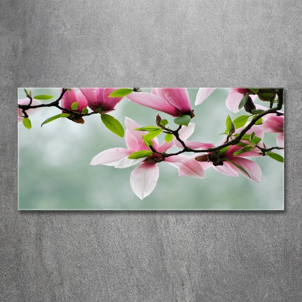 Wall art on glass Magnolia