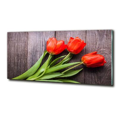 Wall art on glass Red tulips