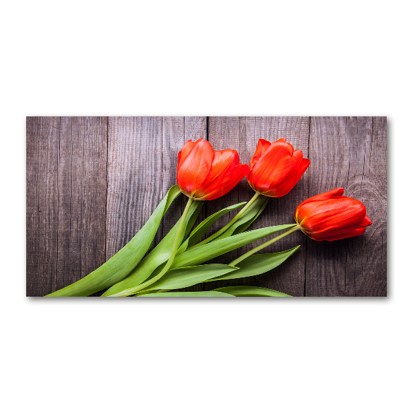 Wall art on glass Red tulips