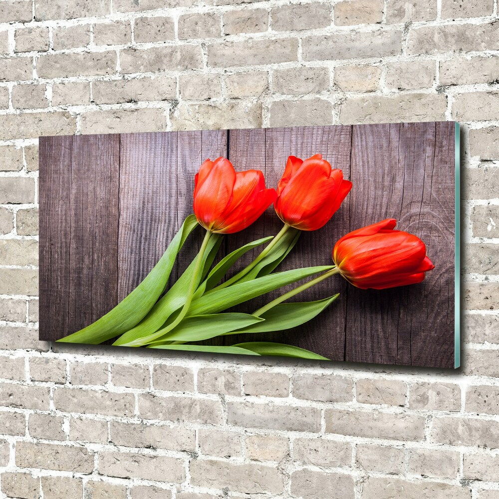 Wall art on glass Red tulips