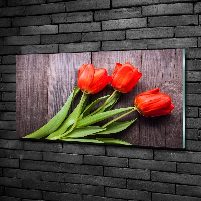 Wall art on glass Red tulips