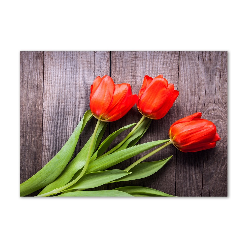 Wall art on glass Red tulips