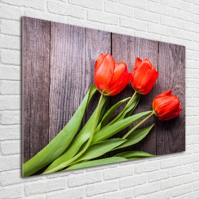 Wall art on glass Red tulips