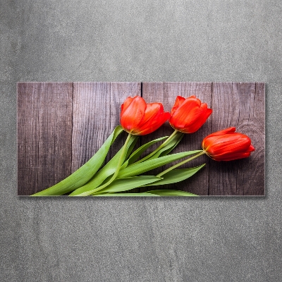 Wall art on glass Red tulips