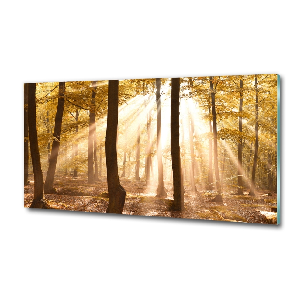 Glass wall art Forest in autumn