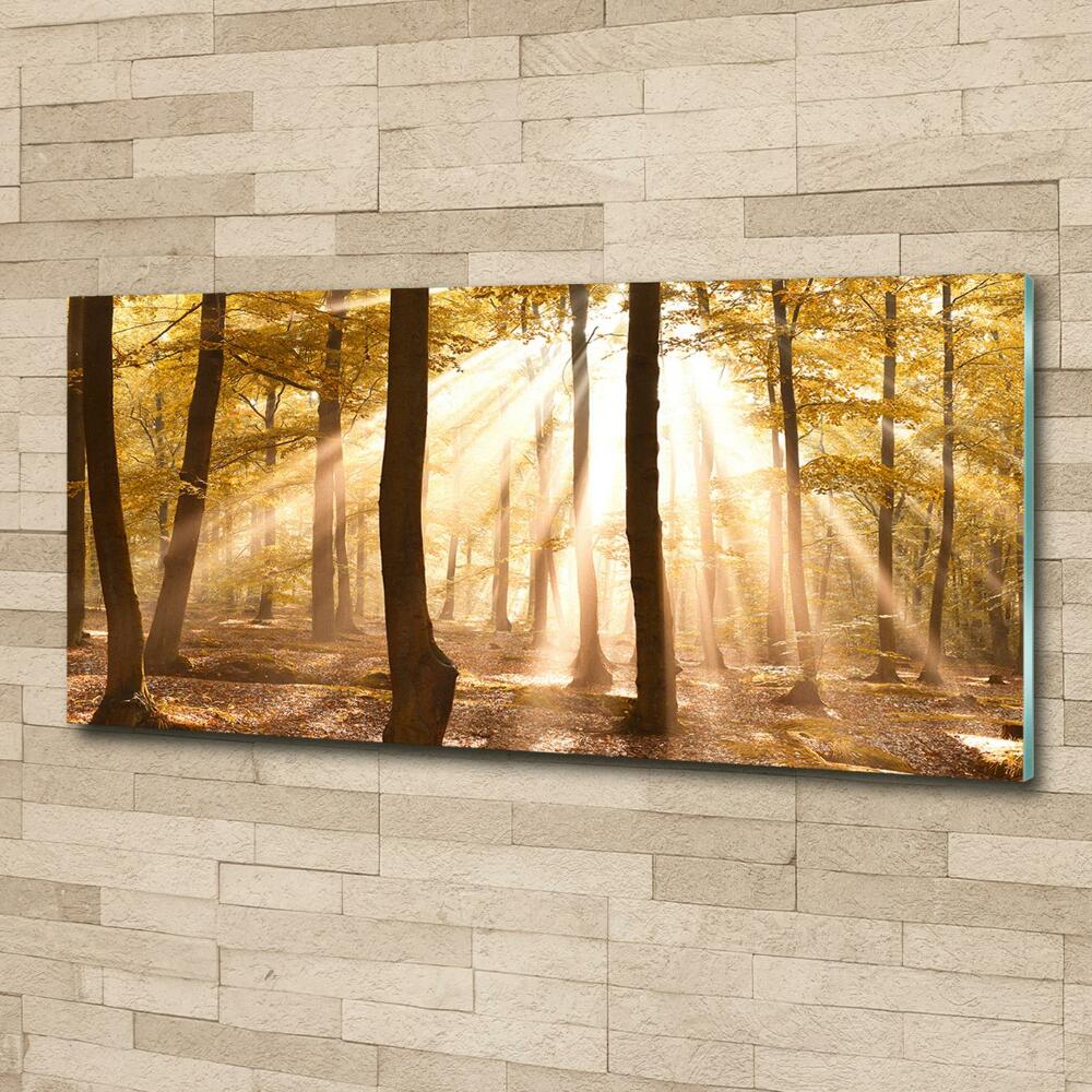 Glass wall art Forest in autumn