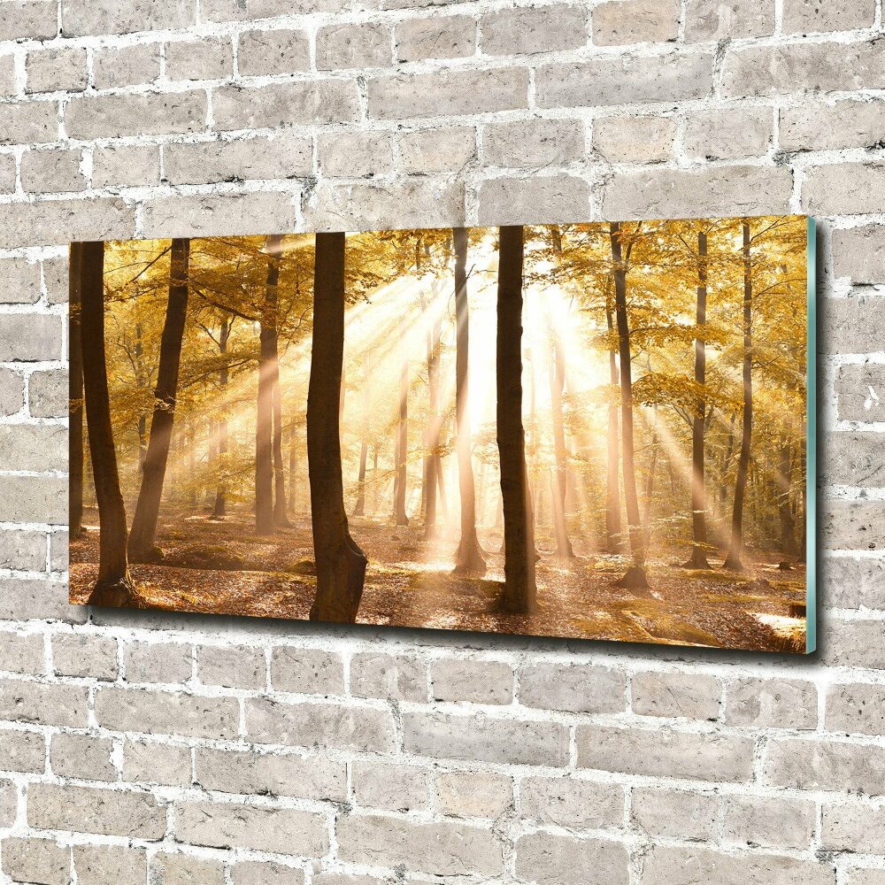 Glass wall art Forest in autumn