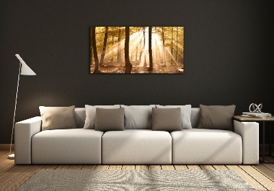 Glass wall art Forest in autumn