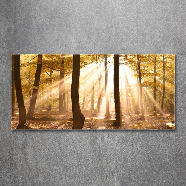 Glass wall art Forest in autumn