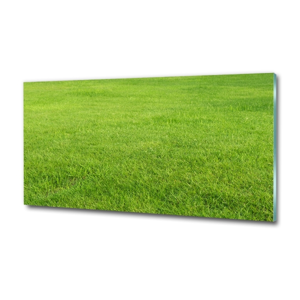 Wall art on glass Green grass