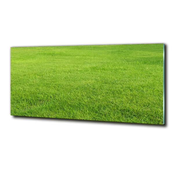 Wall art on glass Green grass