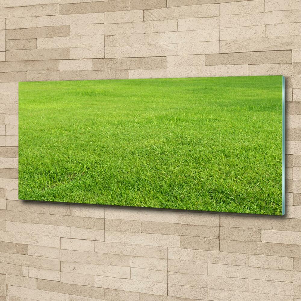 Wall art on glass Green grass