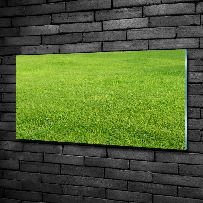 Wall art on glass Green grass