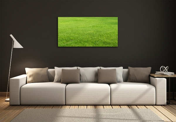 Wall art on glass Green grass